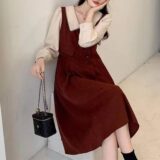 Dark-Academia-Vintage-Peter-Pan-Collor-Sweet-Kawaii-Dresses-for-Women (3)